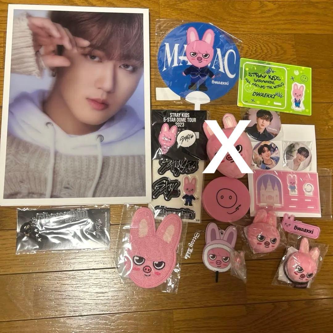 straykids チャンビン　changbin skzoo DWAEKKI