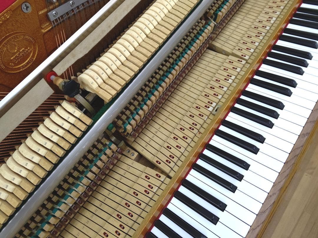 コーラー＆キャンベル【訳あり/消音システム内蔵/未整備現状渡し】