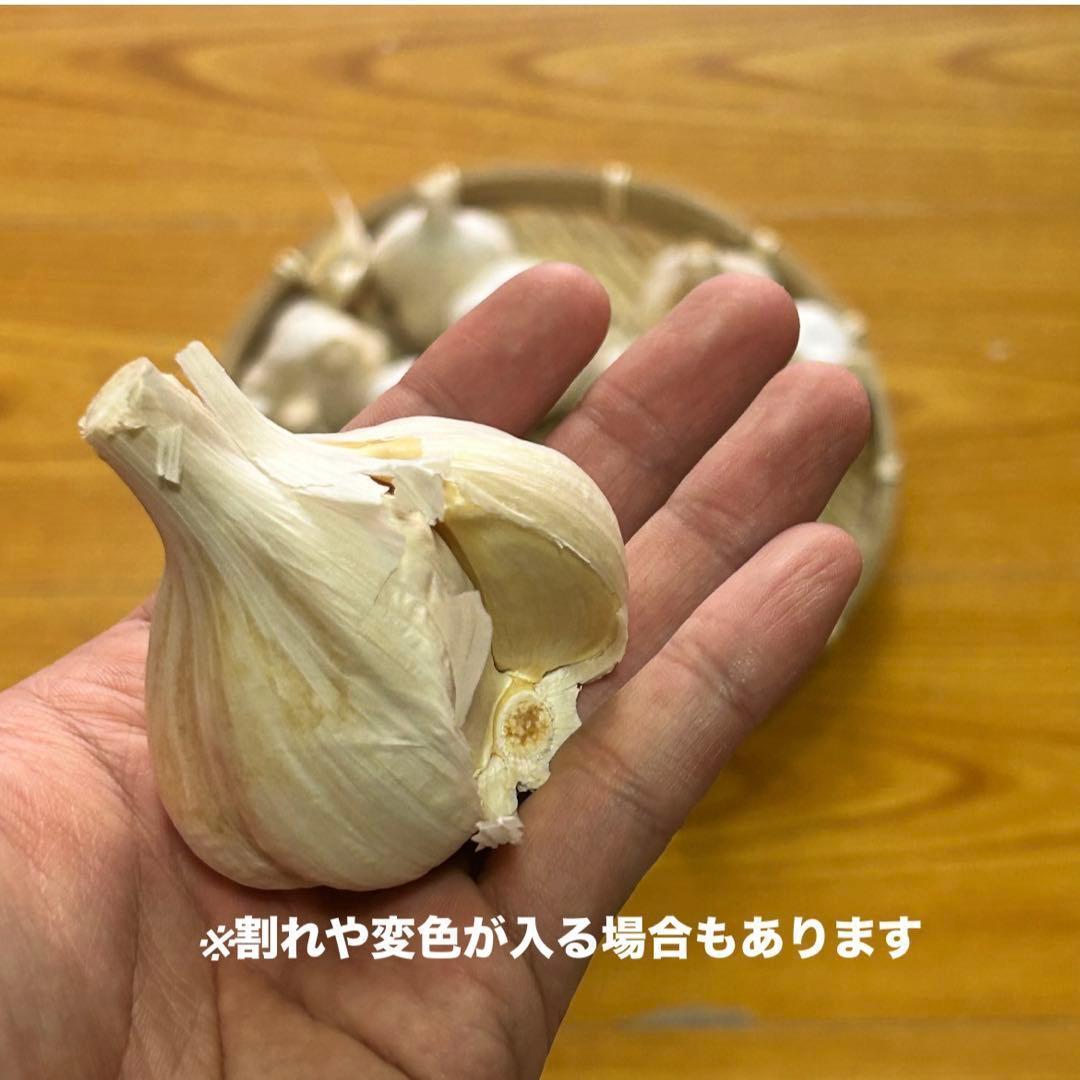 【お買い得セール】青森県 福地ホワイト にんにく L 5kg 　黒にんにく加工