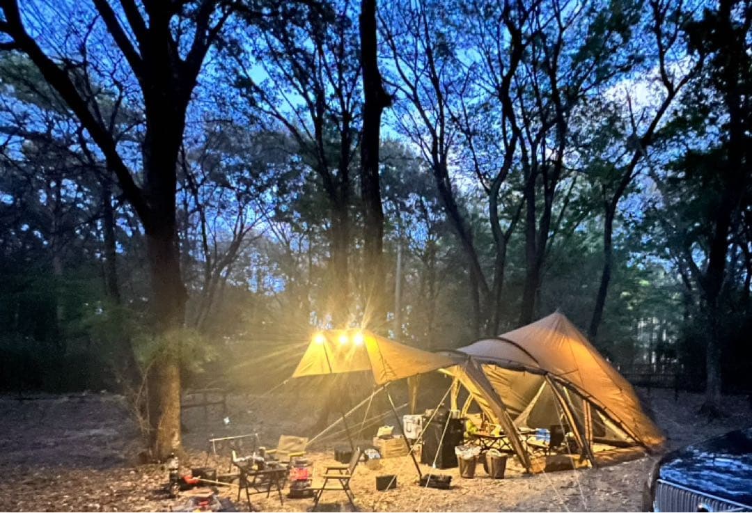 使用1回のみ ★ZANEARTS LOLO ゼインアーツ ロロ