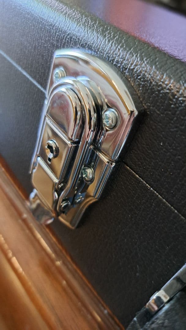 pinkspider　フェルナンデス MG-145S ハードケース