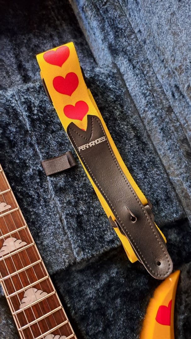 pinkspider　フェルナンデス MG-145S ハードケース