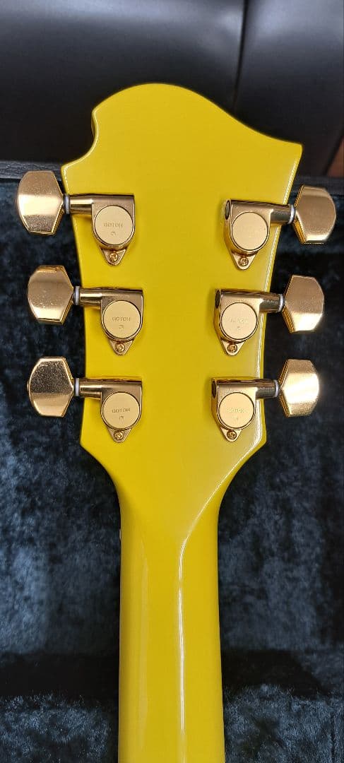 pinkspider　フェルナンデス MG-145S ハードケース