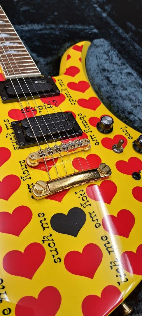 pinkspider　フェルナンデス MG-145S ハードケース