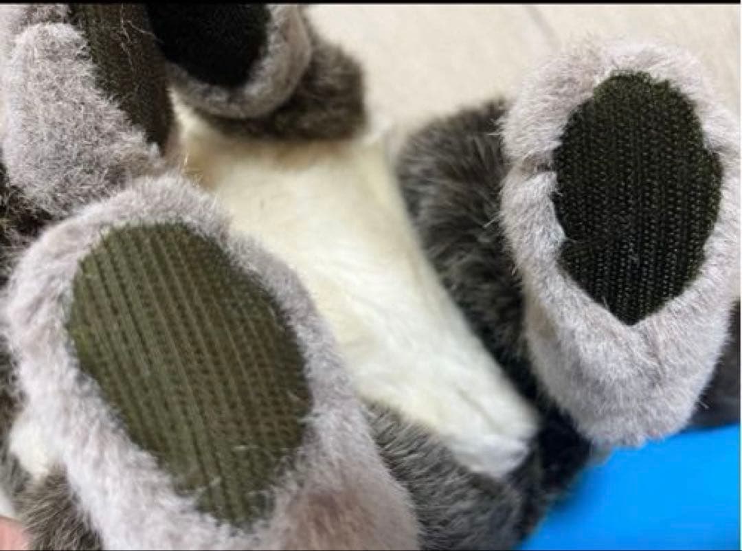 P　ファースト社 アライグマ ぬいぐるみ WOODY CHAPMAN