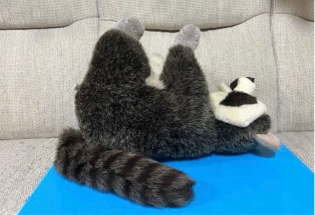 P　ファースト社 アライグマ ぬいぐるみ WOODY CHAPMAN