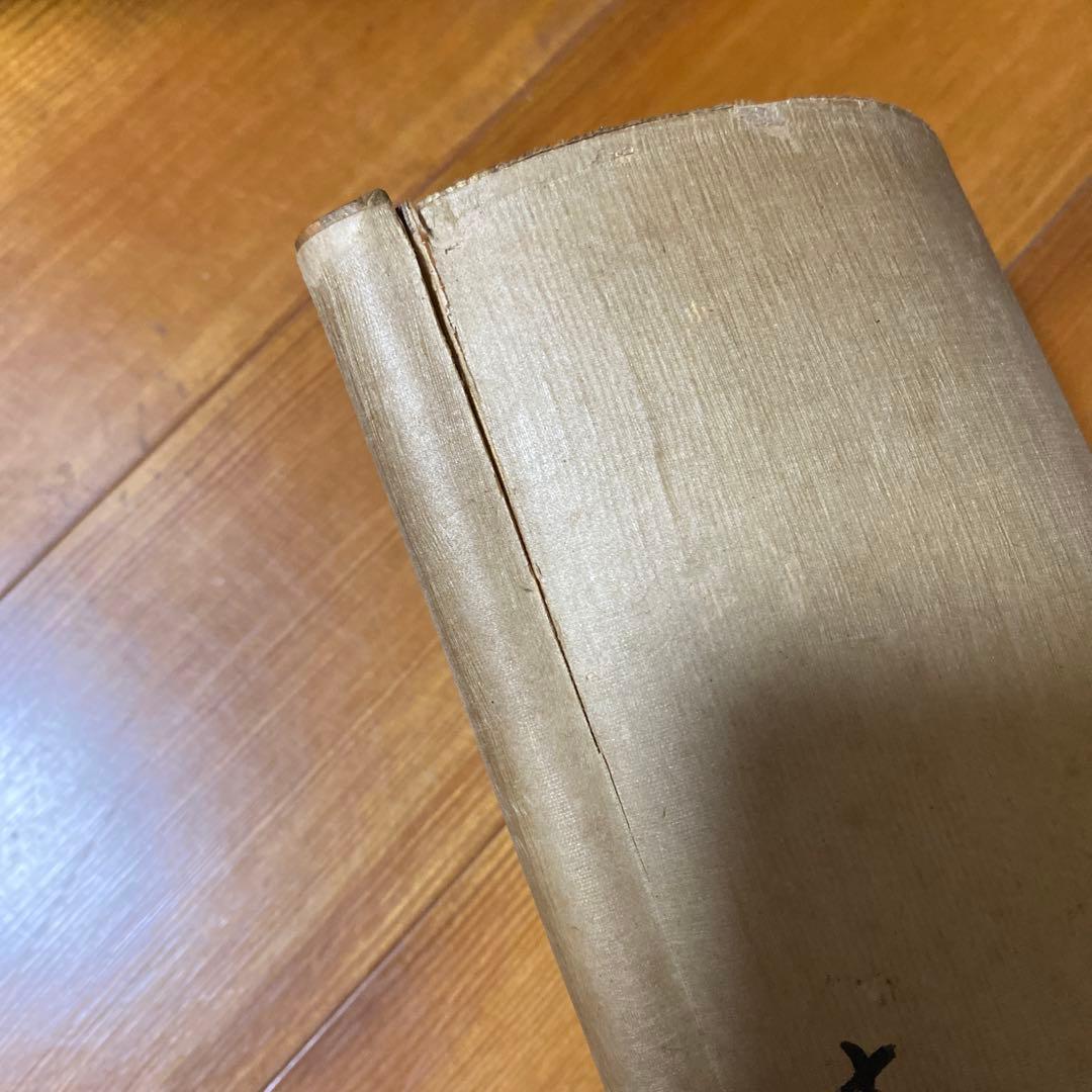 頭山満　書　掛軸　「天空任鳥飛？」