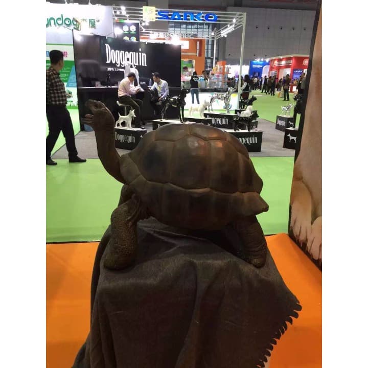 ☆（生き生きシリーズ）☆アルダブラゾウガメ☆（強品）☆