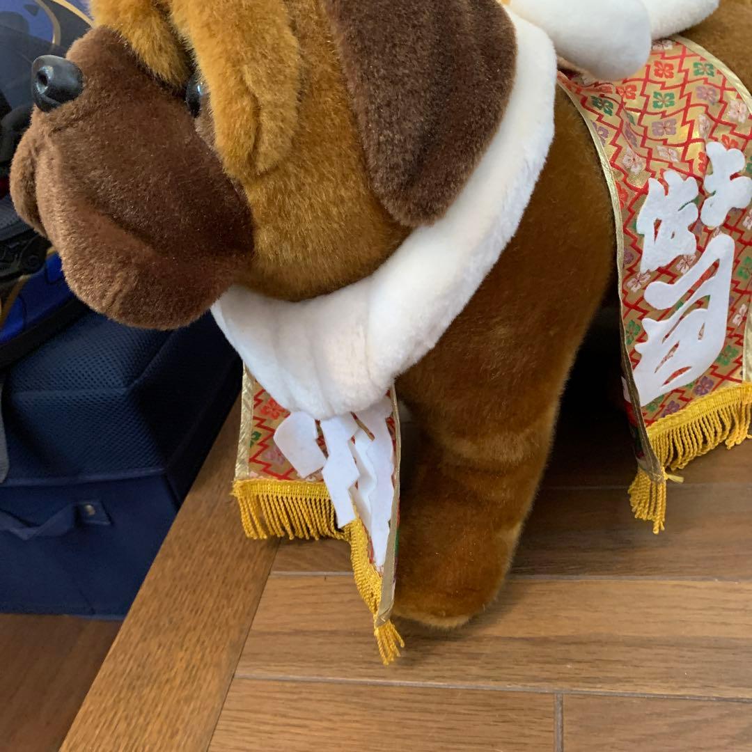 土佐犬ぬいぐるみ【闘犬】