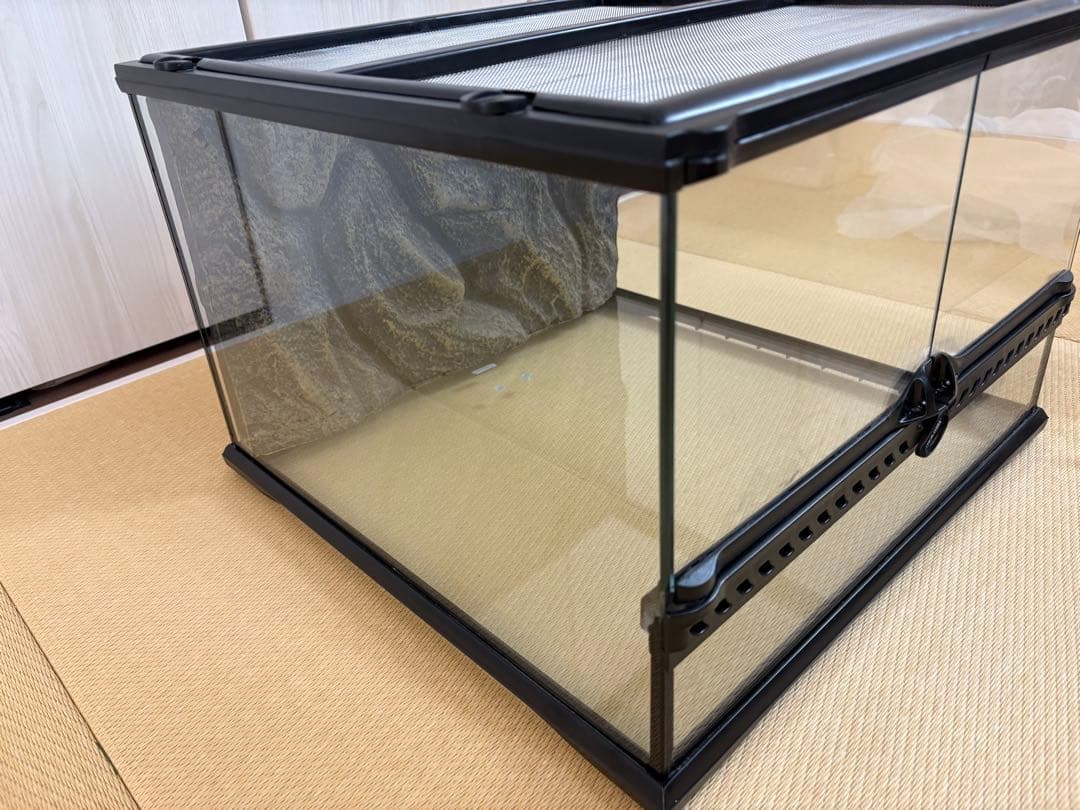 グラステラリウム　4530