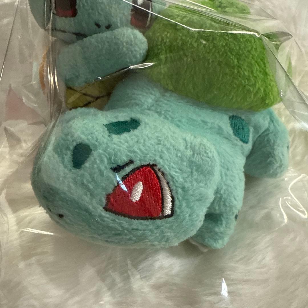 ポケモン　ポケペアぬいぐるみ　ゼニガメ&フシギダネ レトロ レア 絶版