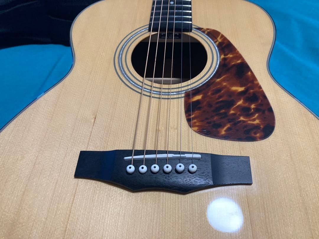 Morris F-351i NATモーリスアコースティックギター