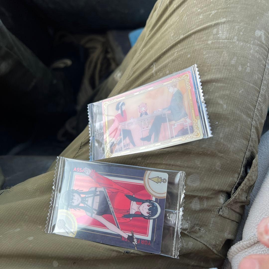 掴もうぜスパイファミリー