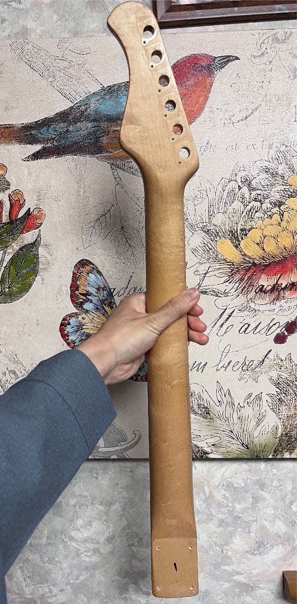 Bacchus universeシリーズ ストラトタイプネック