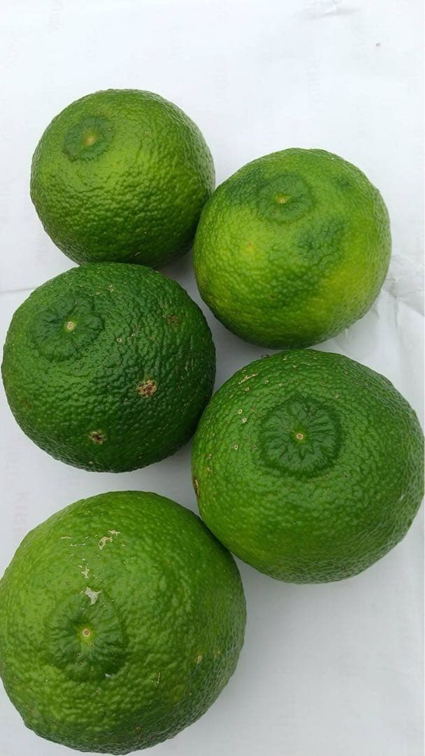 引越し断捨離さん専用　完全無農薬　ゆず　7kg