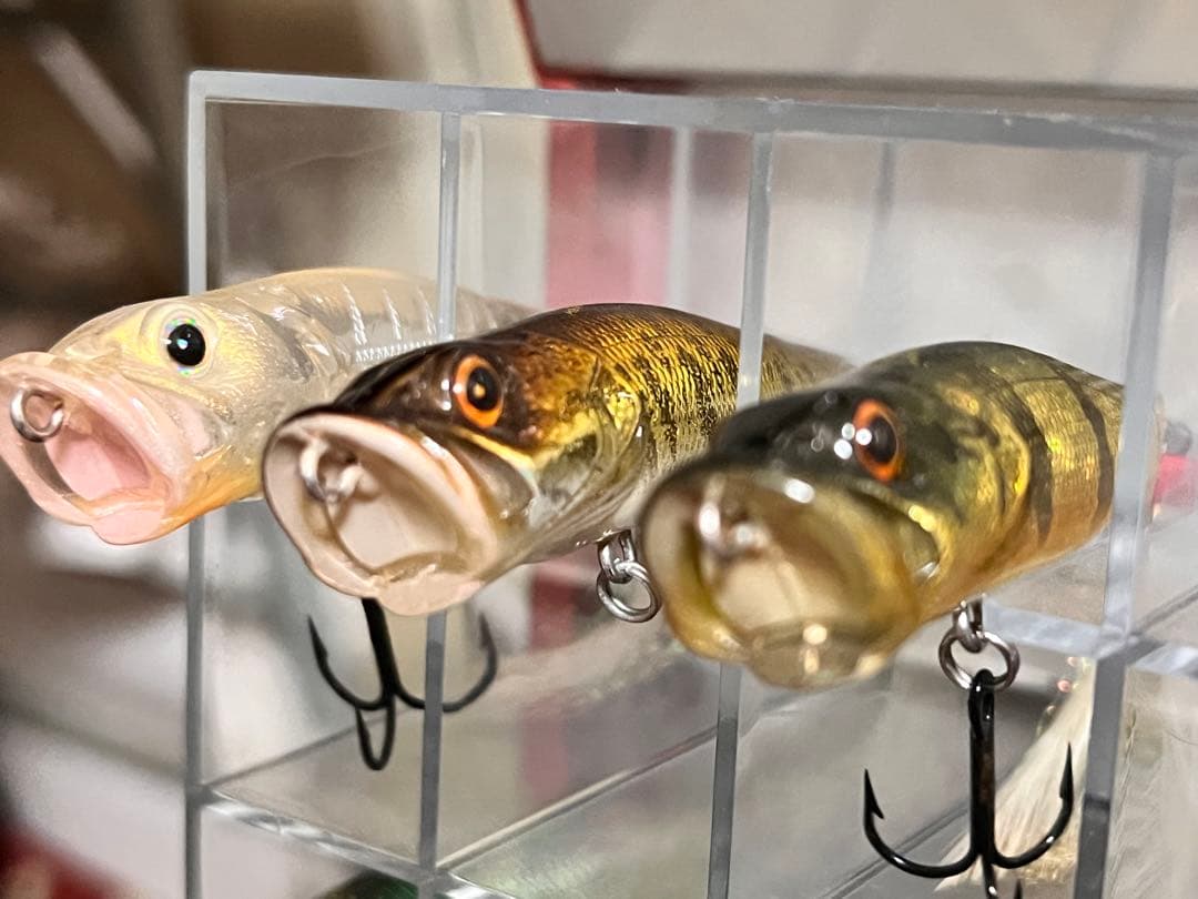 メガバス　アサイラム&ルアーセット