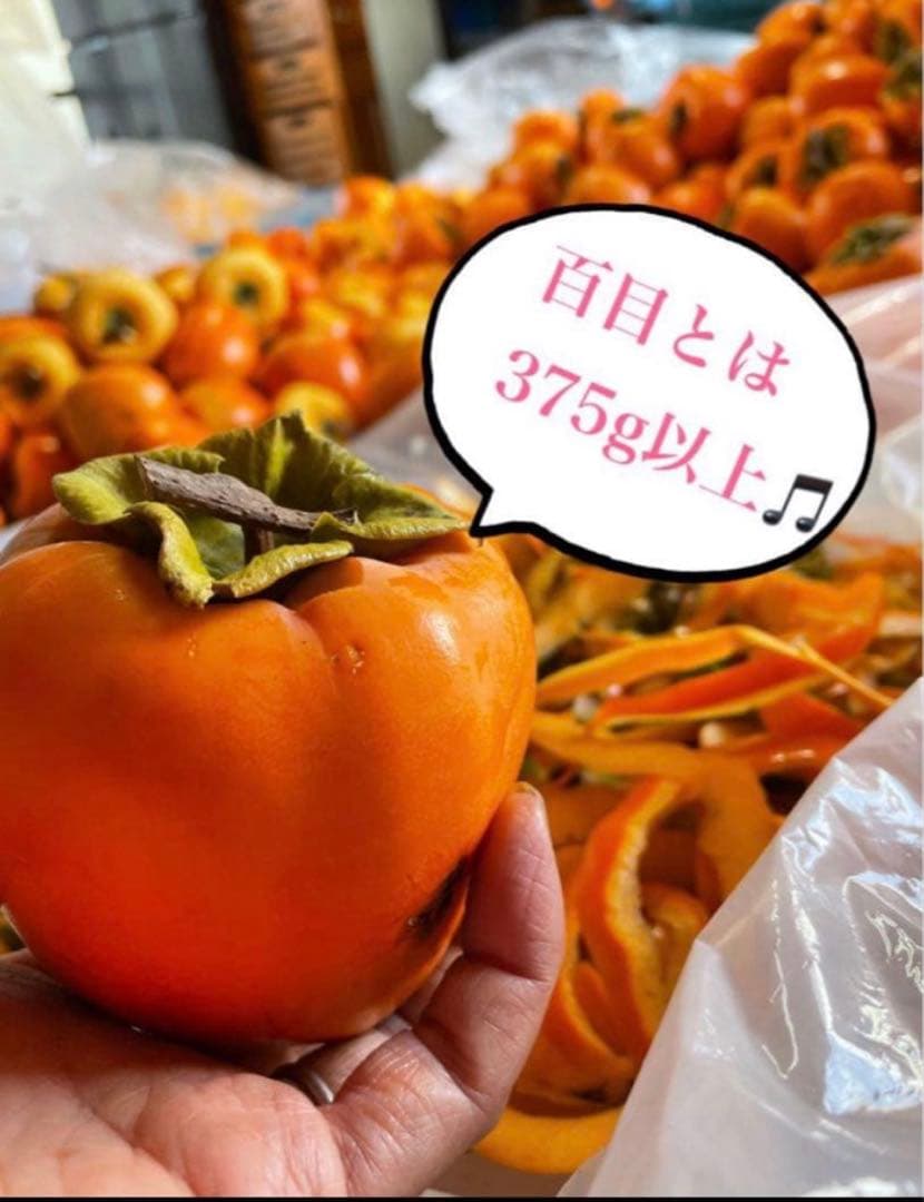 メーター　特大12個入りと大12個入り