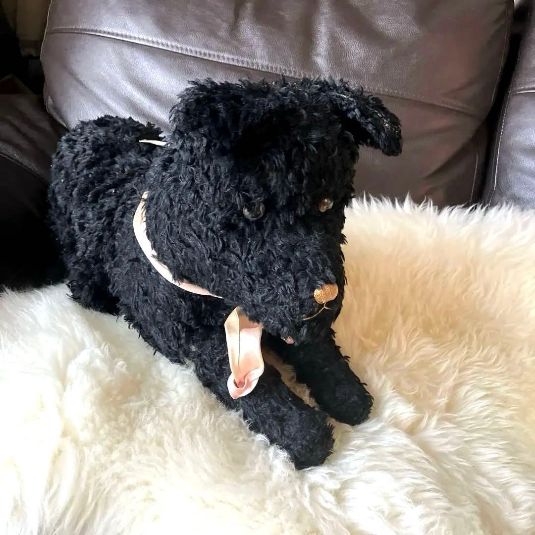 フランスアンティークパジャマドッグ　フランスアンティークパジャマドック　犬