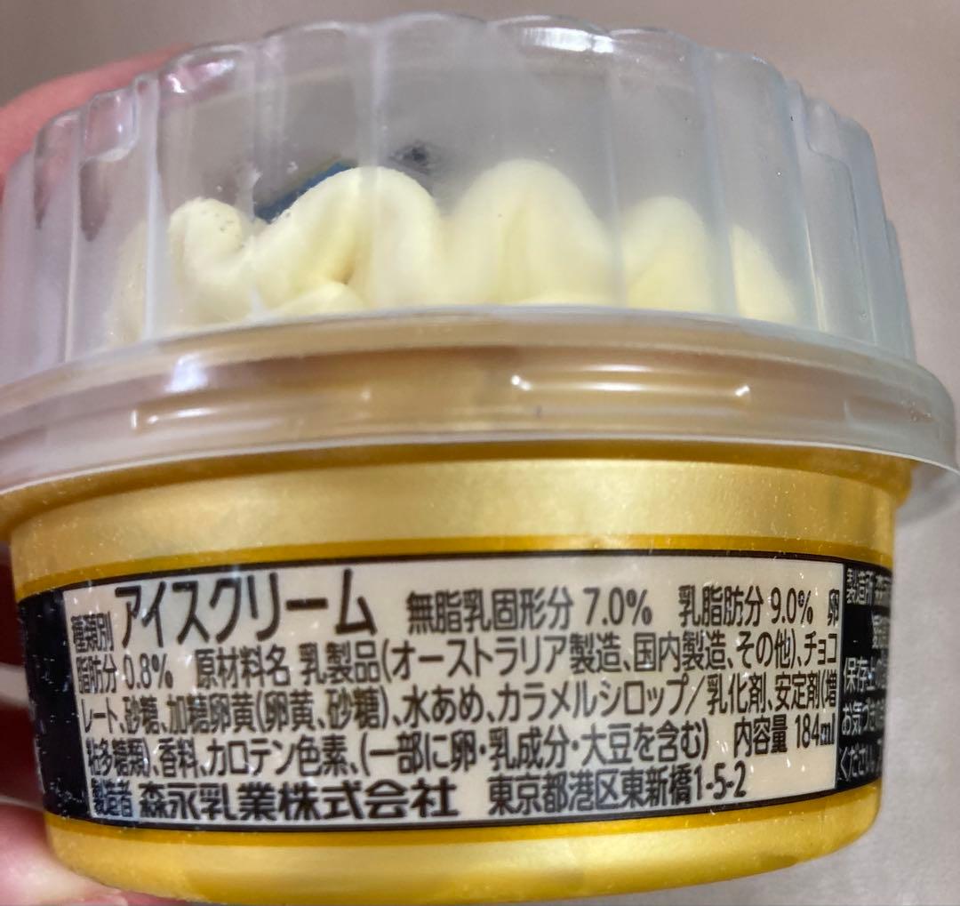 送料無料 ビエネッタ10個入り ＜バニラ1個・ティラミス1個・バニラカップ8個＞