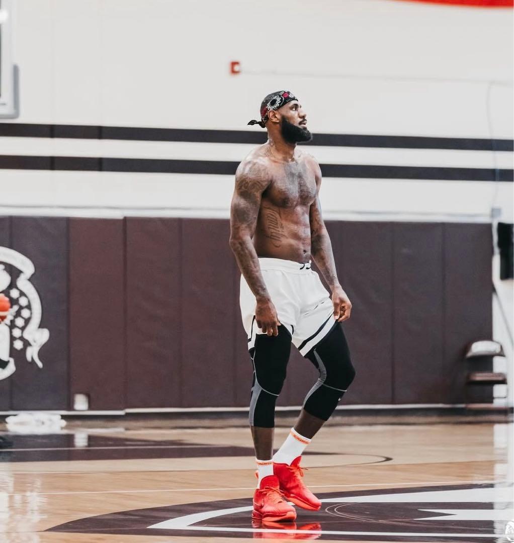 nike lebron 21 james gang ナイキ　レブロン ジェームズ