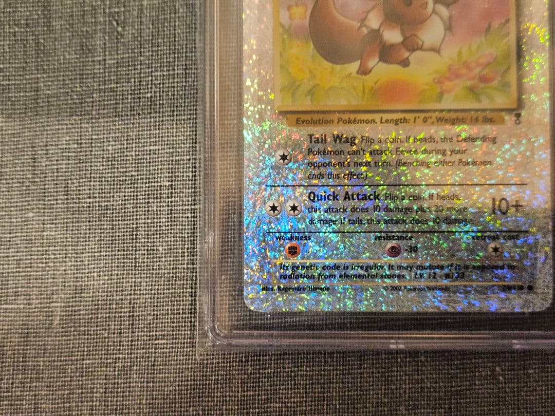 ※РОЗА プロフ必読※