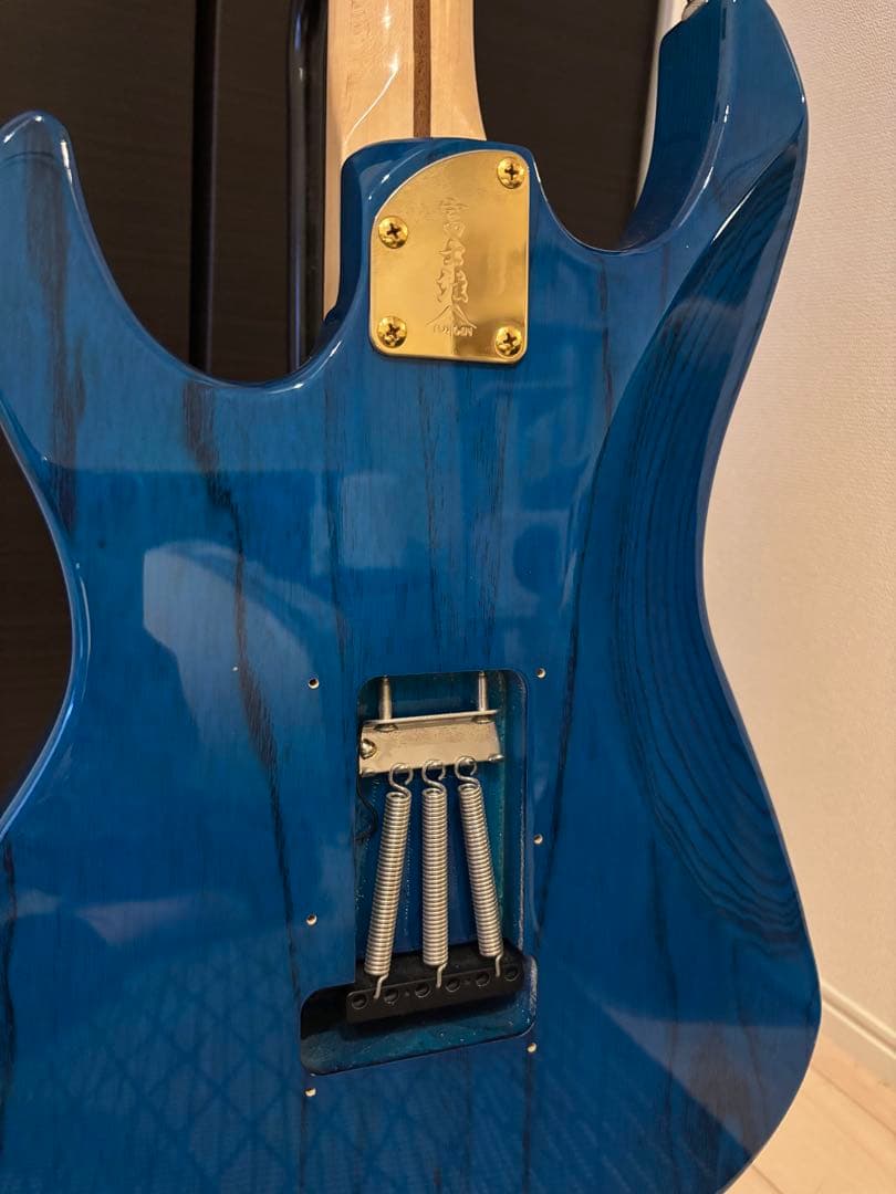 ギター Fujigen EXPERT OS