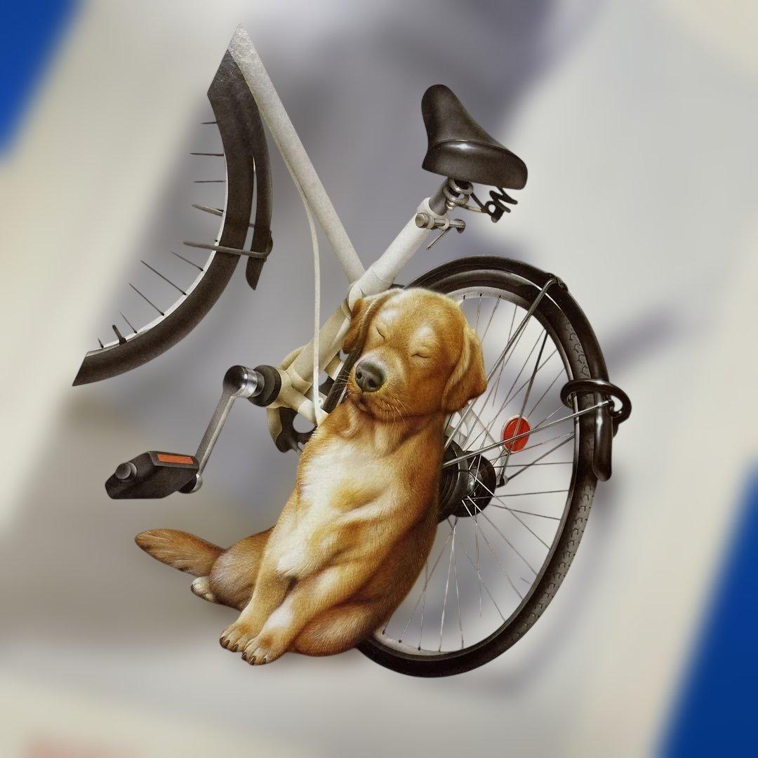 ジグソーパズル　村松誠　サニー・プレイス　1000P 内袋未開封