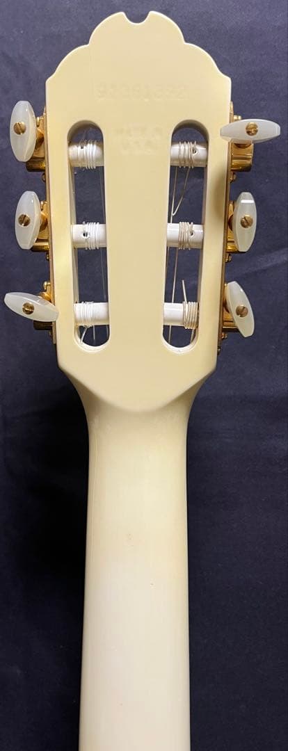 Gibson ギブソン　チェットアトキンス　CE / AW