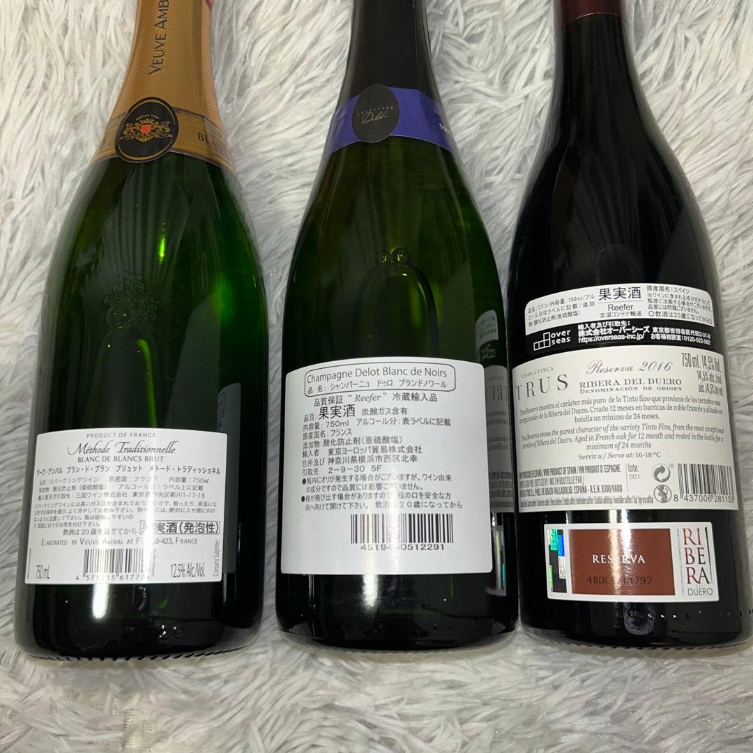 【新品】ワインくじ14本セット スパークリング8種 赤ワイン3種 白ワイン3種