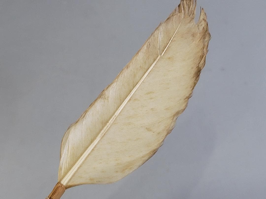 茶道具 古物品 茶箱セット 溜塗 DT764