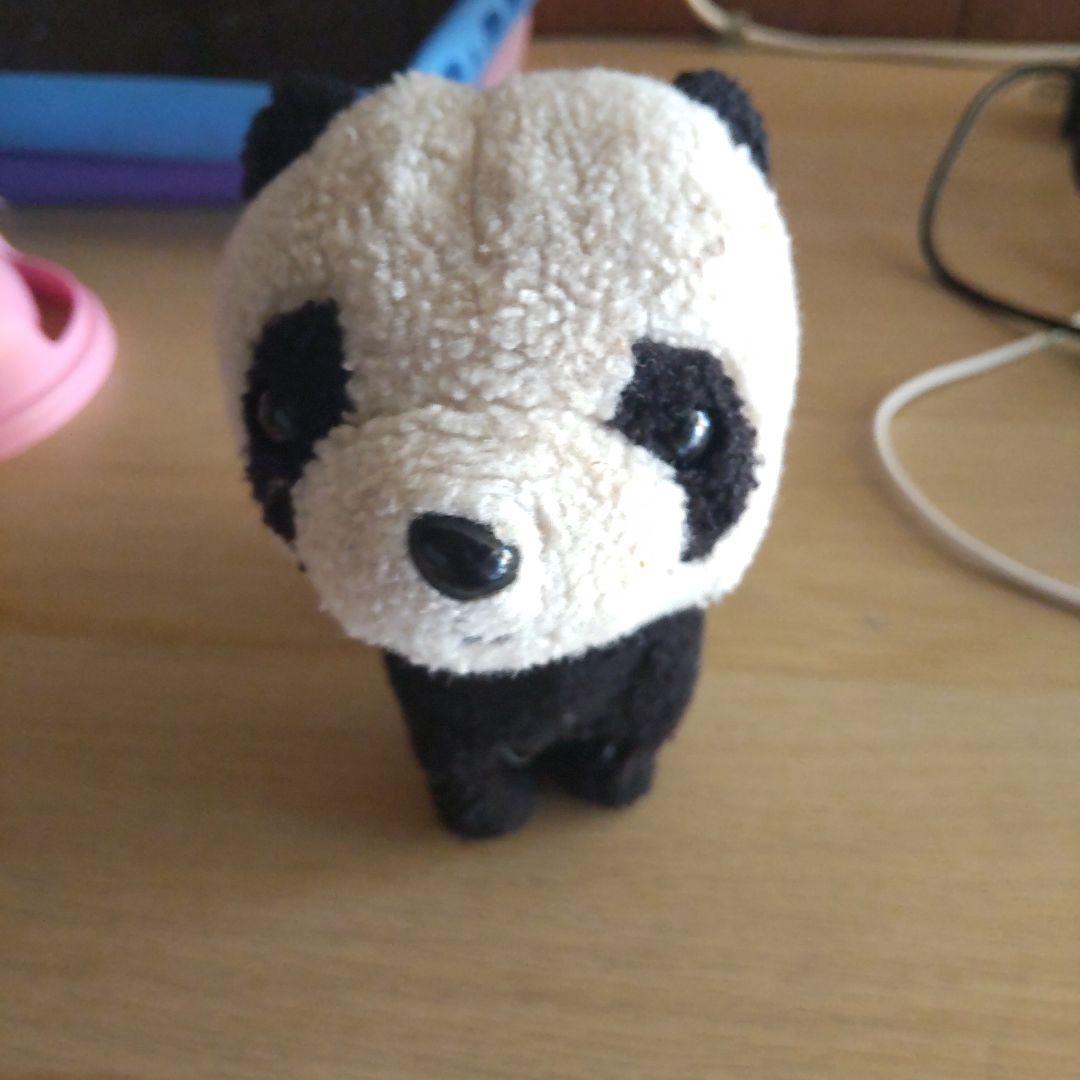 WILD LIFE ジャイアントパンダ(メス)