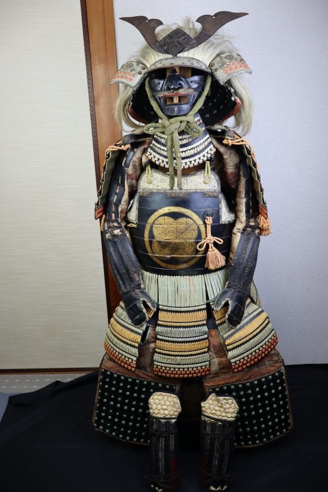 チワワさん専用　等身大　武田信玄調の甲冑