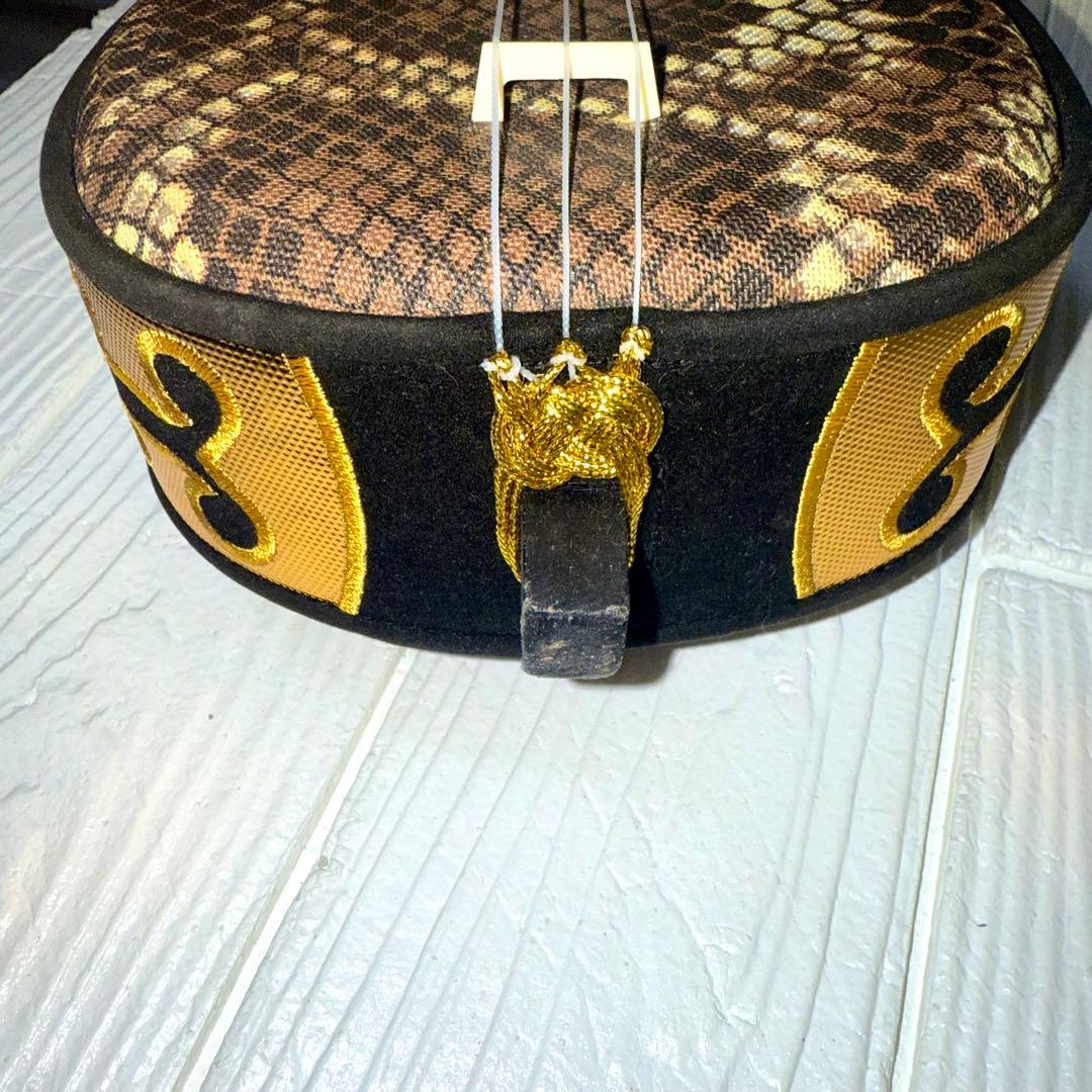 沖縄三線 本体 ケース付き 初心者向け 和楽器 民謡