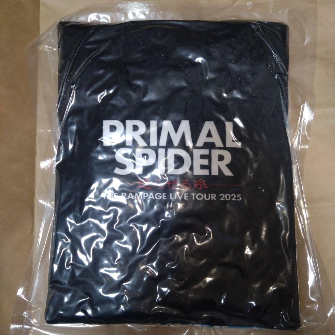 長谷川慎　巡らせる糸　クッション　レア