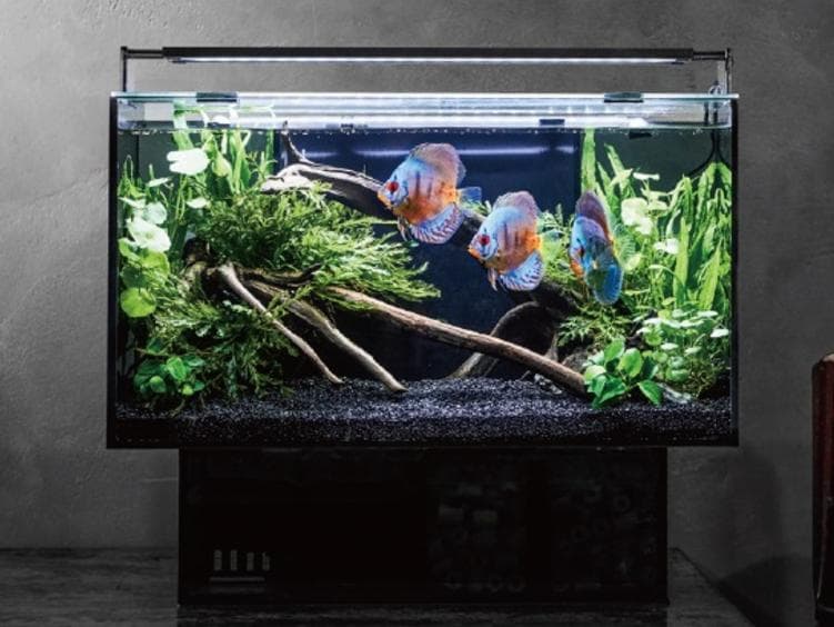 ジェックス グラステリアＡＧＳ ＯＦ－４５０