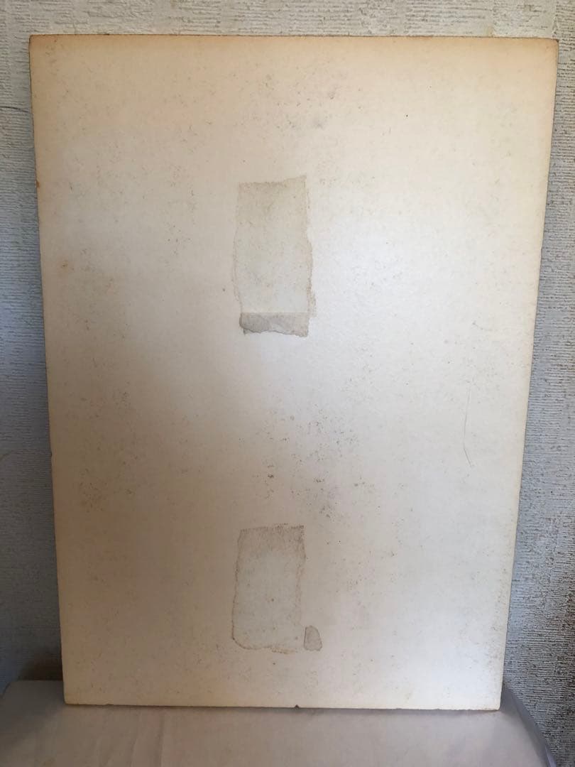 BoA 非売品　レア　パネル　スケッチャーズ skechers ②ボアちゃん近し