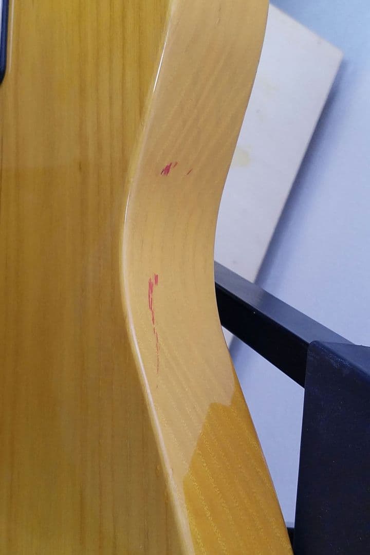 Brian by Bacchus テレキャスターカスタムタイプ エレキギター