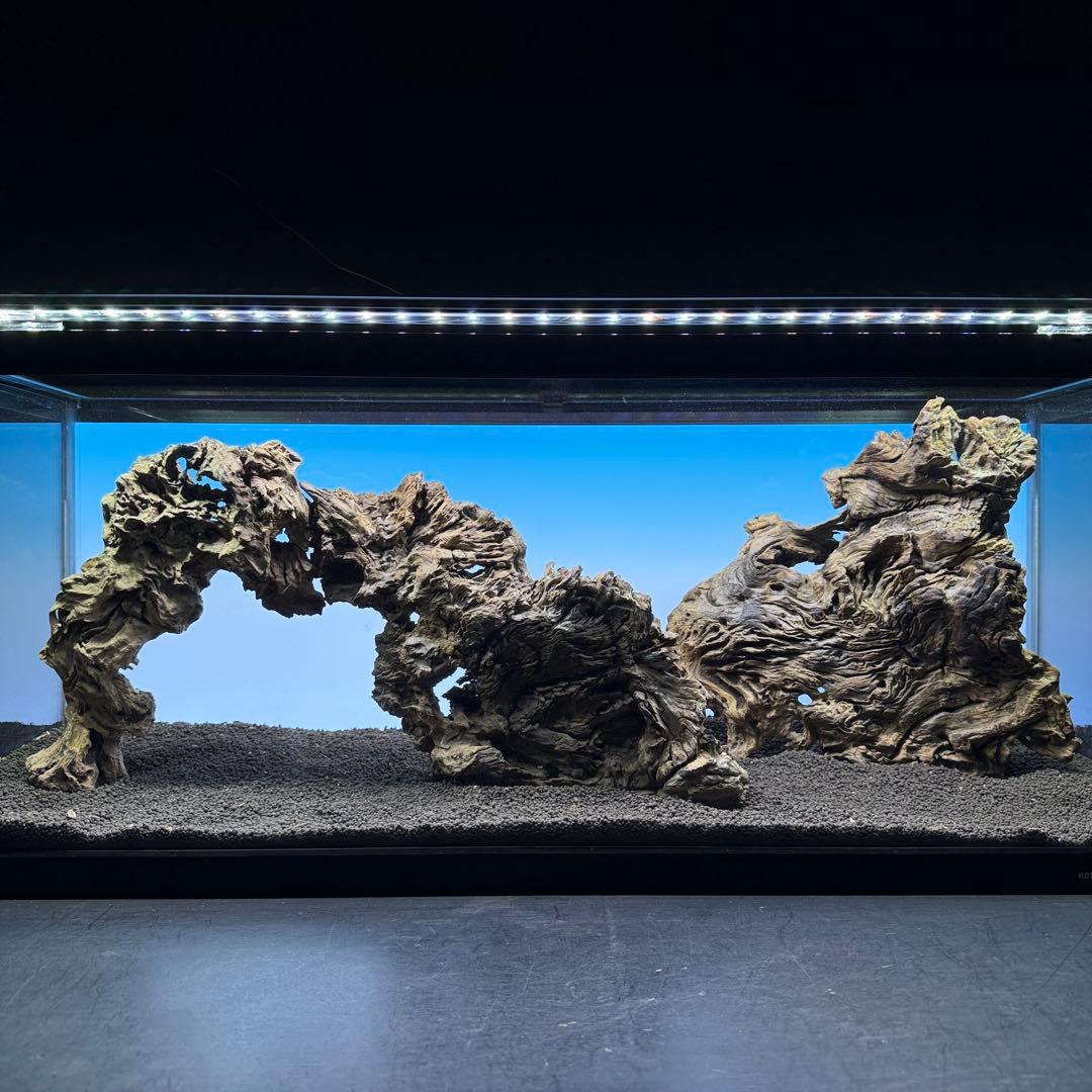 MJW-7236 「特大」ジンジャーウッド　90cm水槽用　天然流木3本セット