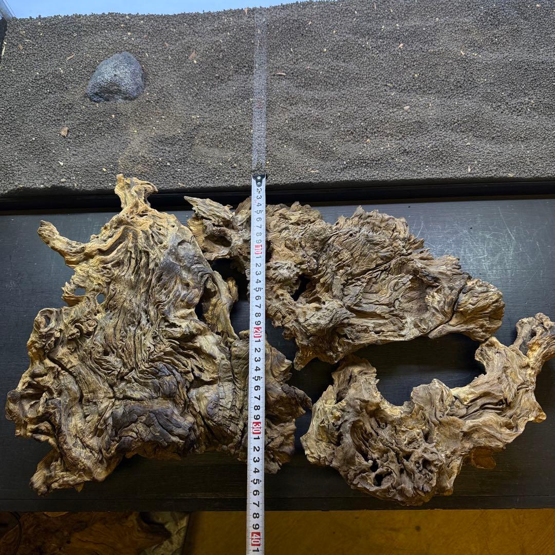 MJW-7236 「特大」ジンジャーウッド　90cm水槽用　天然流木3本セット