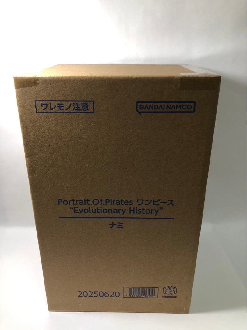 POP ワンピース “Evolutionary History” ナミ