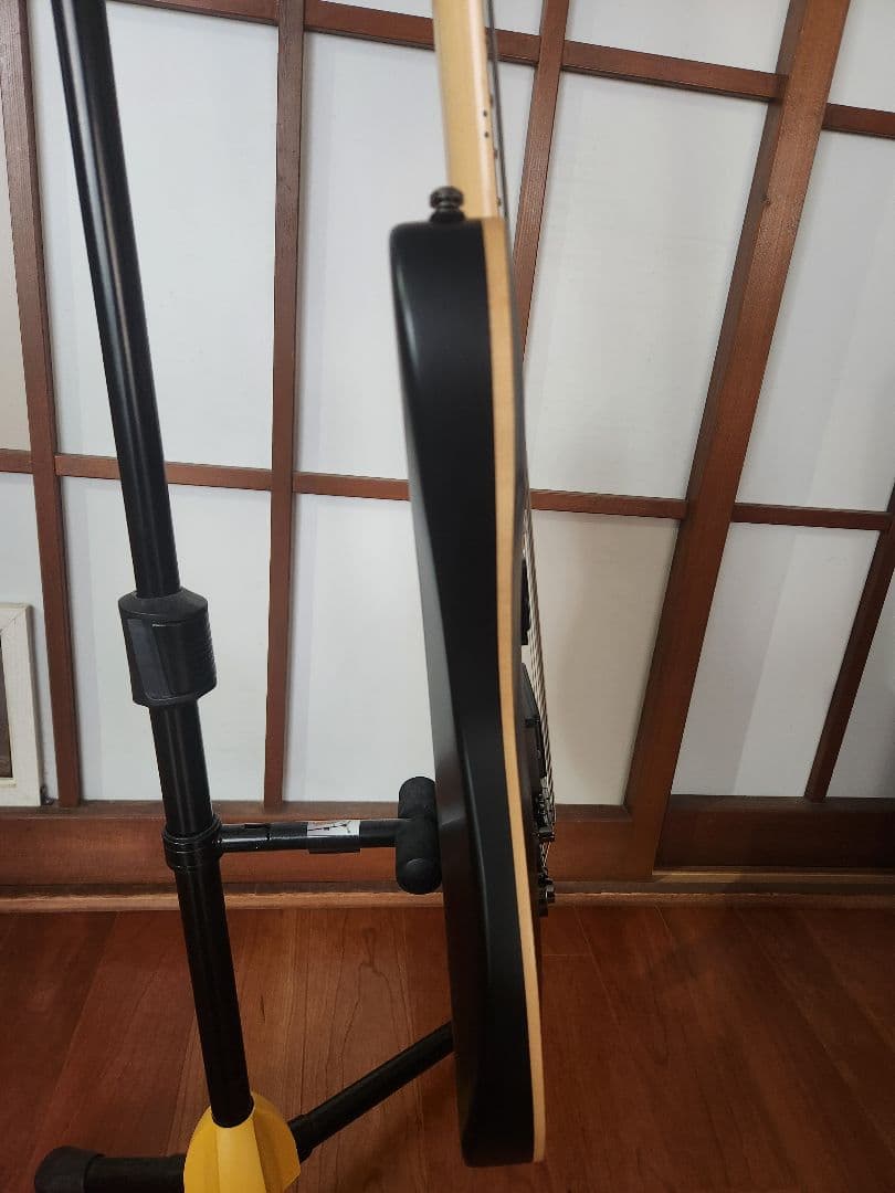 フジゲン Fujigen Expert Elan