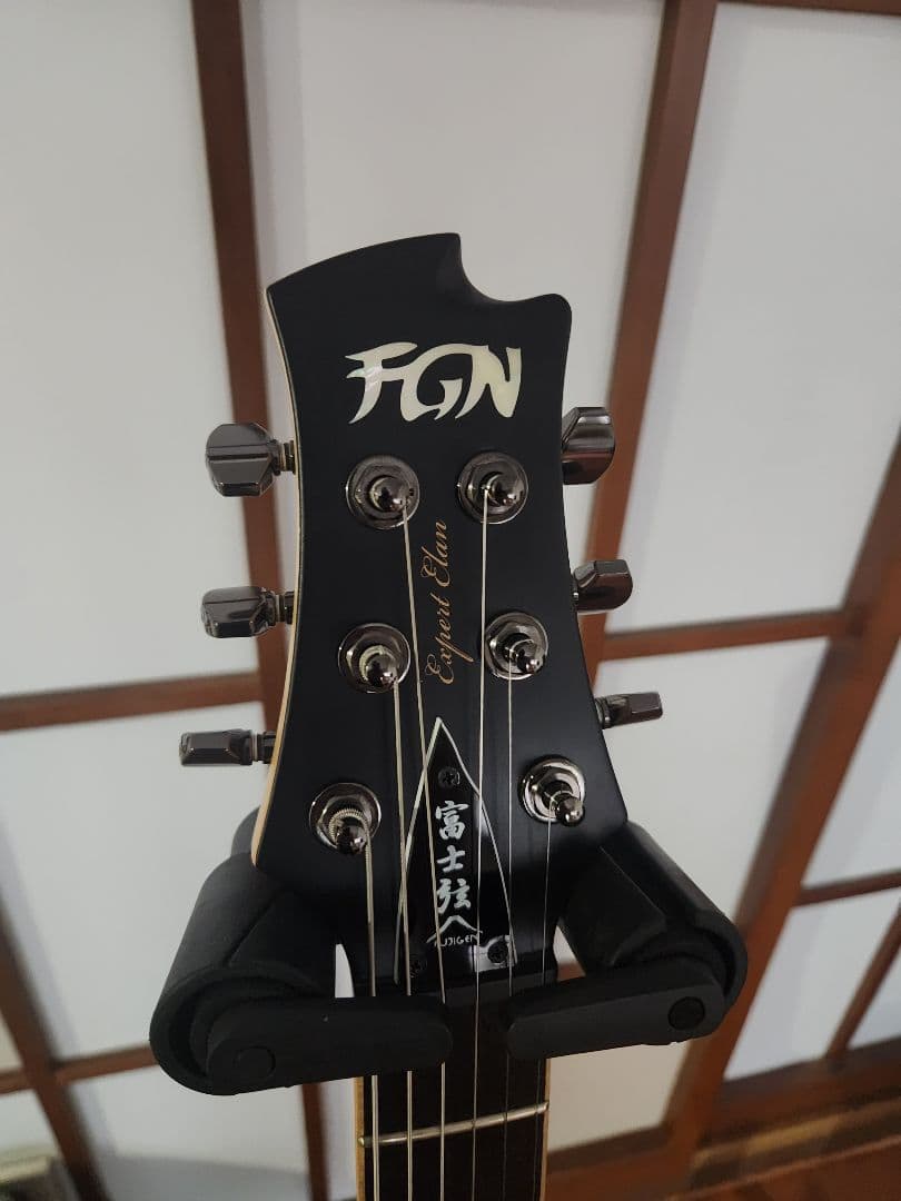 フジゲン Fujigen Expert Elan