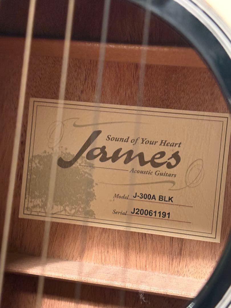 James J-300A BLK アコースティックギター
