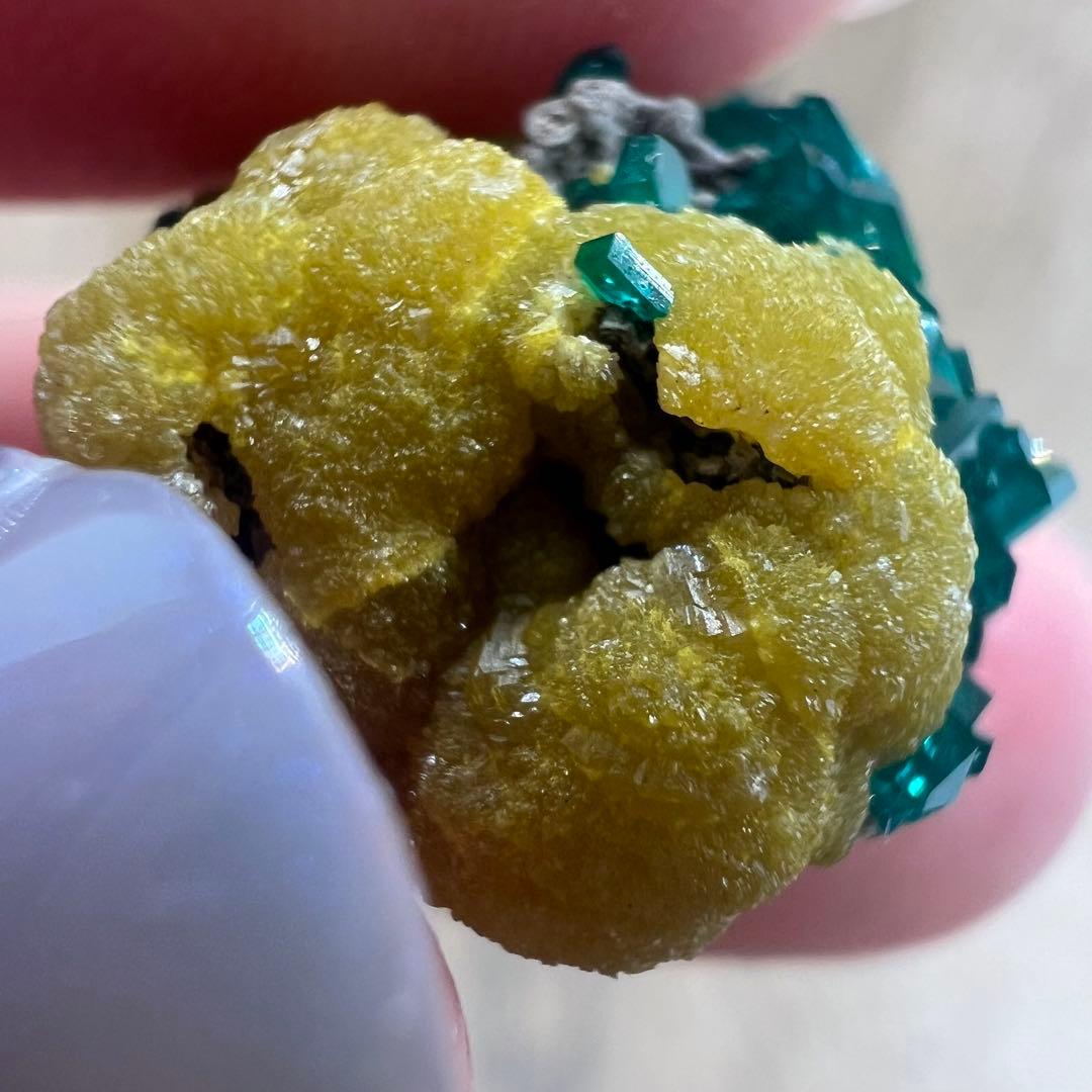 ダイオプテーズ ミメタイト 共生 鉱物 標本 原石