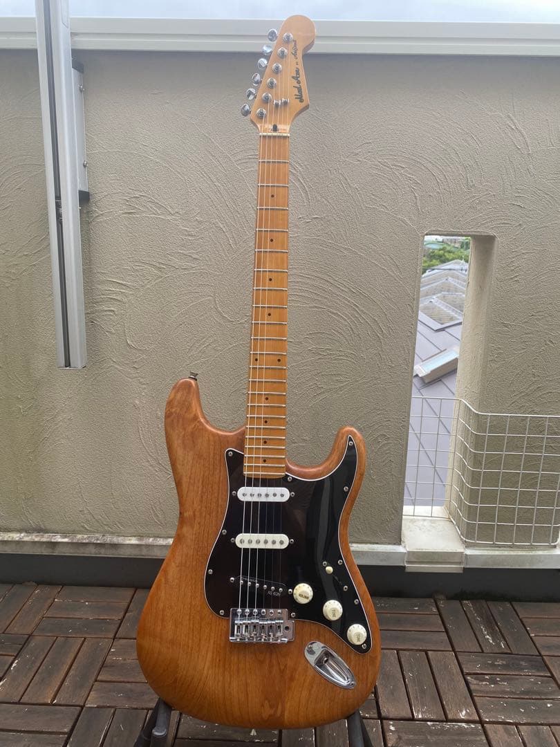 Aria proII(ストラトキャスター タイプ/コンポーネント)