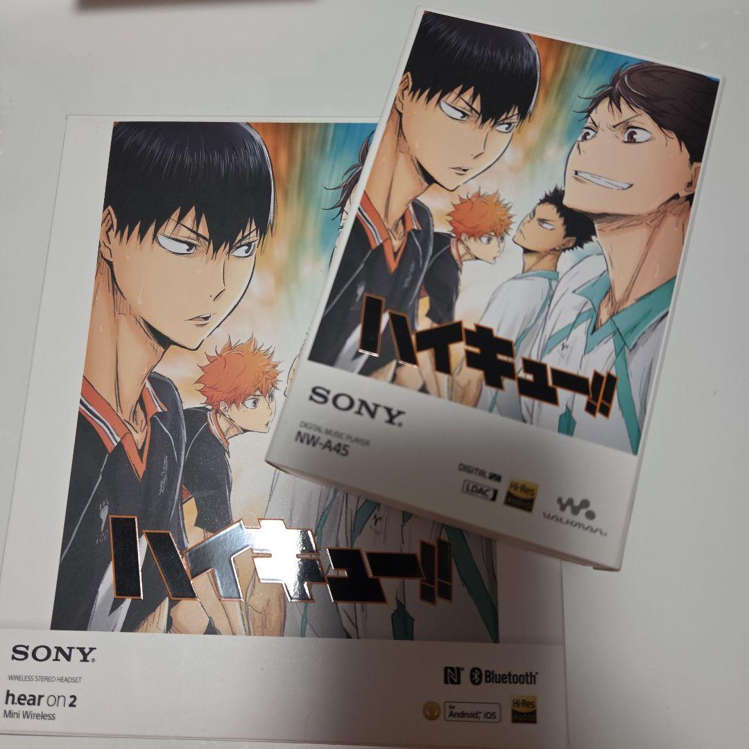 SONY NW-A45 ハイキュー!! デジタル音楽プレイヤーセット