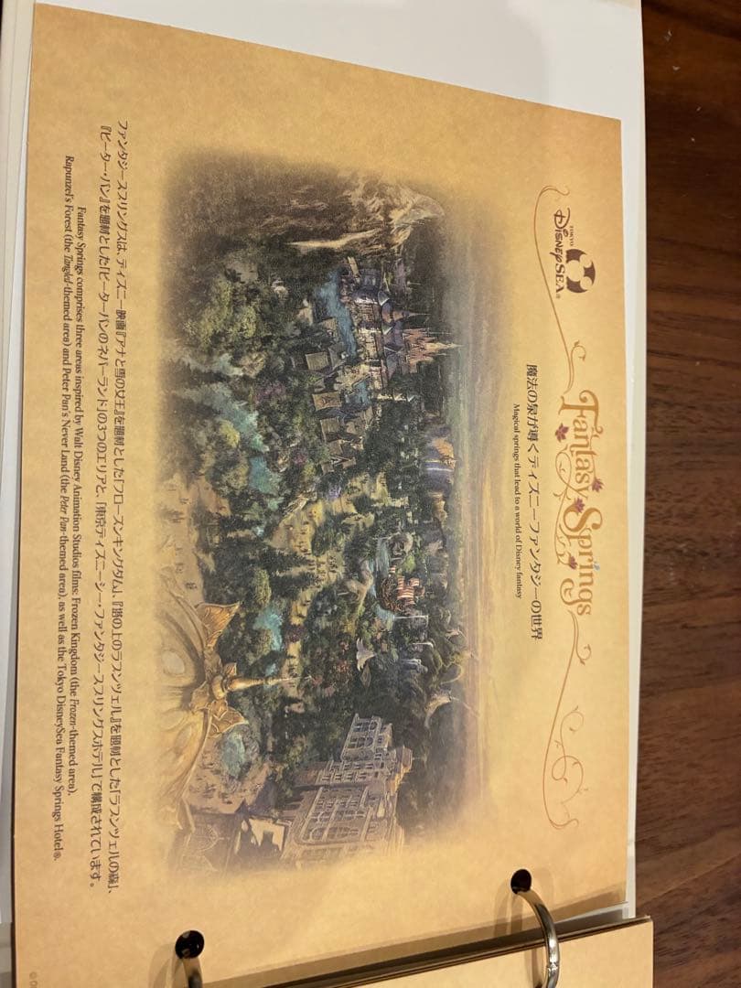 ディズニーグランドシャトー宿泊特典セット