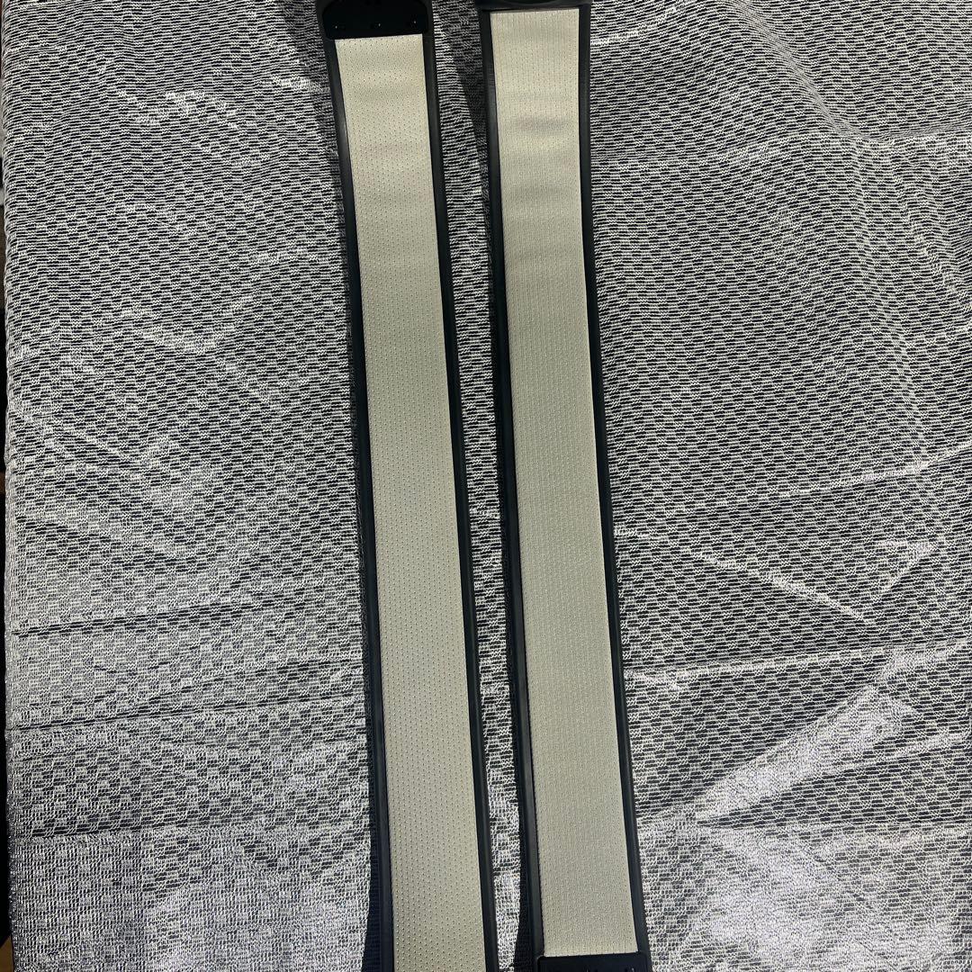 パルストレーナー PT-Ⅱ