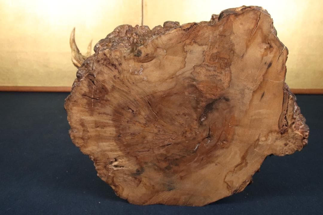 KS　刀掛け　鹿角 刀掛台 天然瘤木台座 　幅約45㎝ 高さ約60㎝