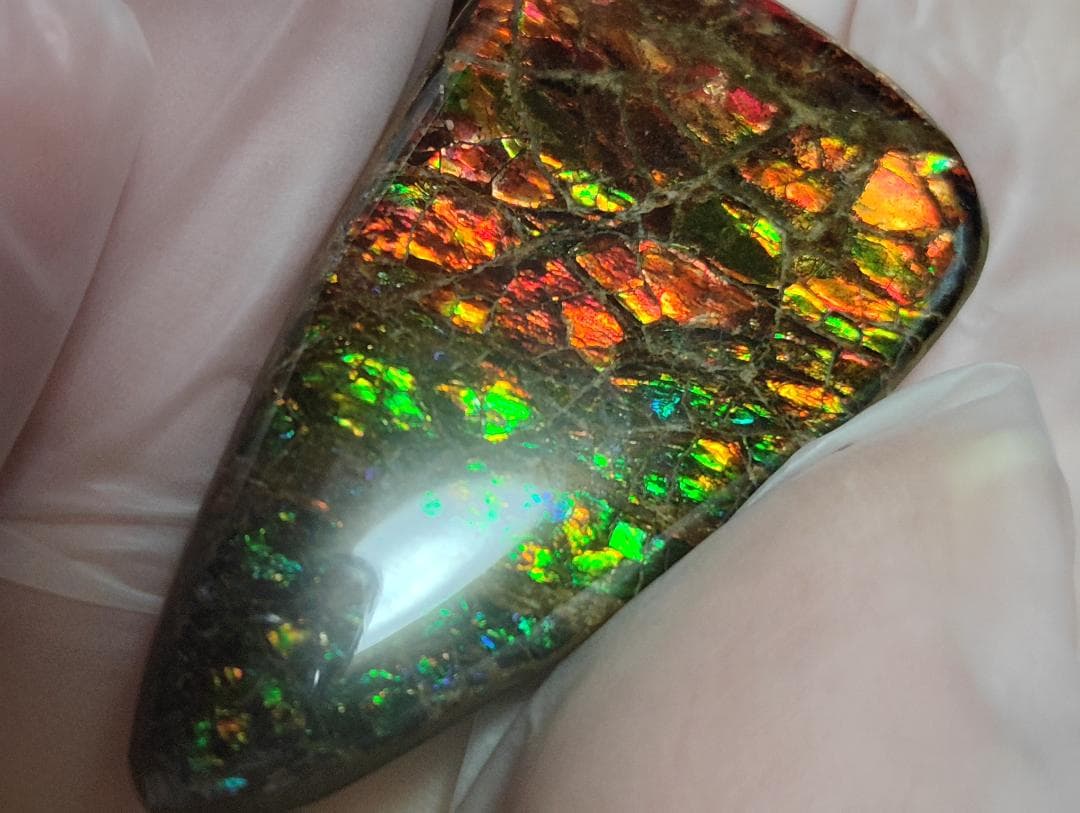 アンモライト・ルース　24-1411 45000